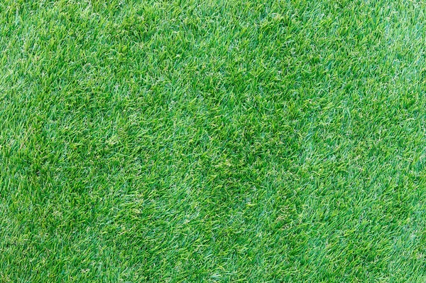 Green grass texture — Stock Photo, Image