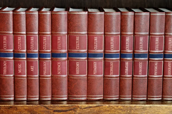 Fila di libri su uno scaffale con titoli in inglese — Foto Stock