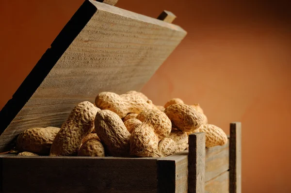 Closeup container filled with peanuts — Stock Photo, Image