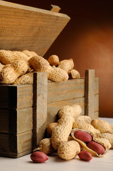 Gruppe von Erdnüssen auf mit Stamm hölzernen Behälter vertikale composi — Stockfoto