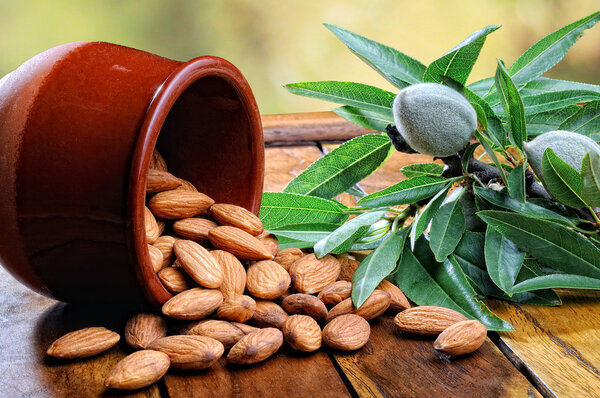 Group of almonds on wooden rustic table