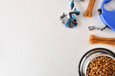 Yürüyüş için yiyecek ve aksesuarlar ve beyaz masadaki köpek için oyun. Üst Manzara. Yatay bileşim.