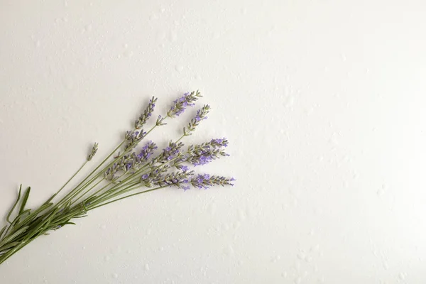 Background Bouquet Fresh Lavender Spikes Bloom White Table Water Drops — Stock Photo, Image