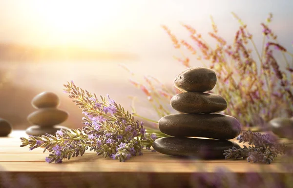 Koncept Relaxace Meditace Klidu Hromadou Černých Kamenů Dřevě Hroty Kvetoucí — Stock fotografie