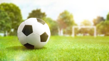 Amatör bir sahanın çimlerinde güneşli bir günde arka planda bir gol olan klasik futbol topu..