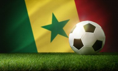Senegal milli takım kompozisyonu ve arka planda çim ve bayrak üzerinde klasik top. Ön görünüm.