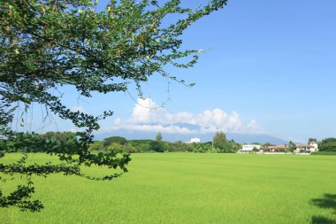 gökyüzü, bulut ve ağaç veya tarla ve dağ arkaplanı