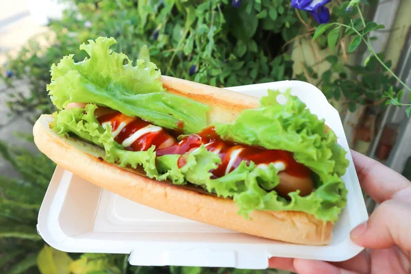 Sosisli sandviç, domuz sosisi ya da sosisli sandviç ya da sebzeli sosisli sandviç.