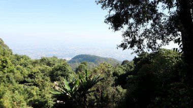 dağ manzarası veya gökyüzü, ağaç ve dağ arkaplanı