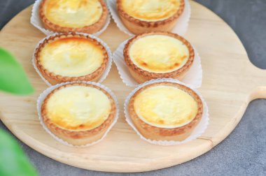 Servis için tepside turta, peynir turtası ya da turta