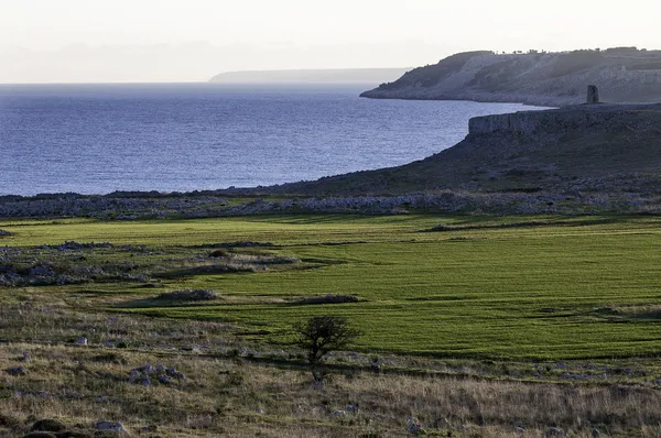 Salento - Torre Sant'Emiliano — Zdjęcie stockowe