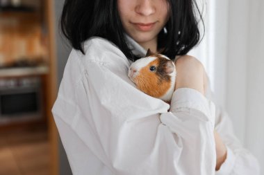 Kızın kollarında sevimli kobay faresi, çocuk ve hayvan konsepti