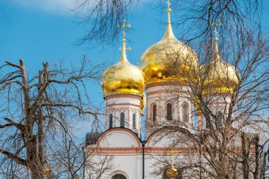 Eski tapınağın altın kubbeleri. Mavi gökyüzü ve ağaçlara karşı manastır manzarası.