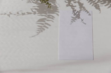 Blank greeting card on a green fern leafs on white background. Summer tropical styled photo. Gentle, feminine wedding mock-up. Top view, flat lay, copy space.