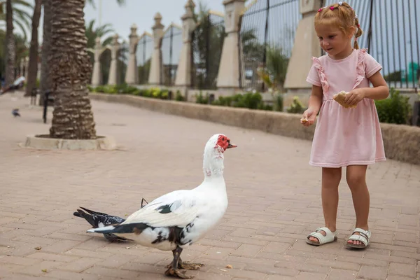 Children feed birds in the city park, family vacation