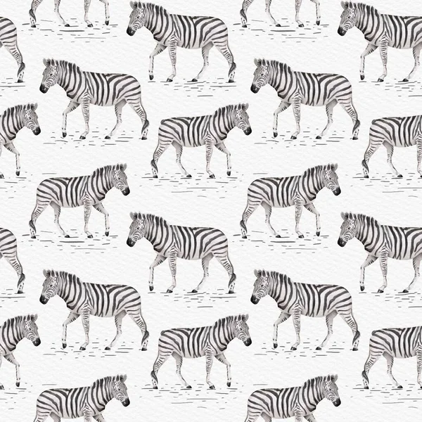 Zebralı, desenli, sade, siyah ve beyaz suluboya çizimler. Moda, tekstil ve çocuk projeleri için seçkin..