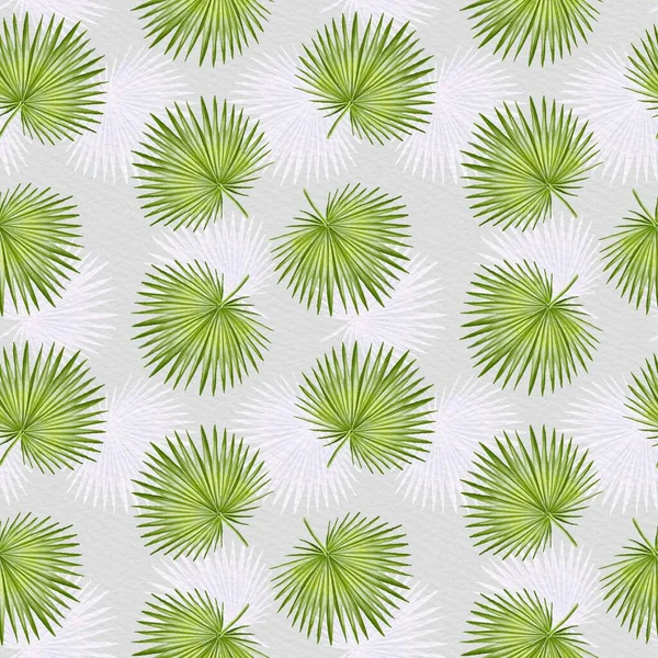 Naadloos Patroon Aquarelverf Ventilator Palm Bladeren Illustratie Gestructureerd — Stockfoto