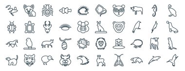 Marten, hamamböceği, vahşi at, gelincik, nymphicus hollandicus, akbaba, vatoz, sunum, diyagram, web tasarımı gibi 40 adet düz hayvan web simgesi.