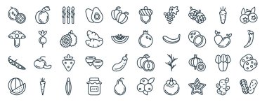 Rapor için, şeftali, mantar, bezelye, karpuz, mango, yabanmersini, palamut, sunum, diyagram, web tasarımı gibi 40 adet düz meyve web simgesi