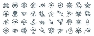 Karahindiba, wedelia, frezya, anemon, zinnia, sisyrisyum, rapor için sakura simgeleri, sunum, diyagram, web tasarımı gibi çizgi biçimli 40 düz doğa ikonu kümesi