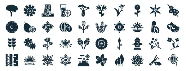 Set Filled Nature Web Icons Glyph Style Dianthus Chrysanthemum Pinnate — Vettoriale Stock