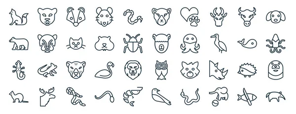 Set Flat Animals Web Icons Line Style Panther Polar Bear — Vettoriale Stock