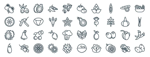 Set Flat Fruits Web Icons Line Style Olive Kiwi Pitaya — Vettoriale Stock