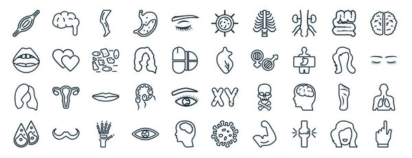 набор из 40 плоских частей человеческого тела иконы в стиле линии, такие как орган тела мозга, рот открыт, женщина темные длинные волосы, пот или слеза капли, брюнетка женщина длинные волосы, мозг верхний вид, большая клетка