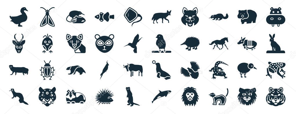 Set of 40 filled animals web icons in glyph style such as moth, gazelle, mongoose, polecat, armadillo, hippo, coyote icons isolated on white background