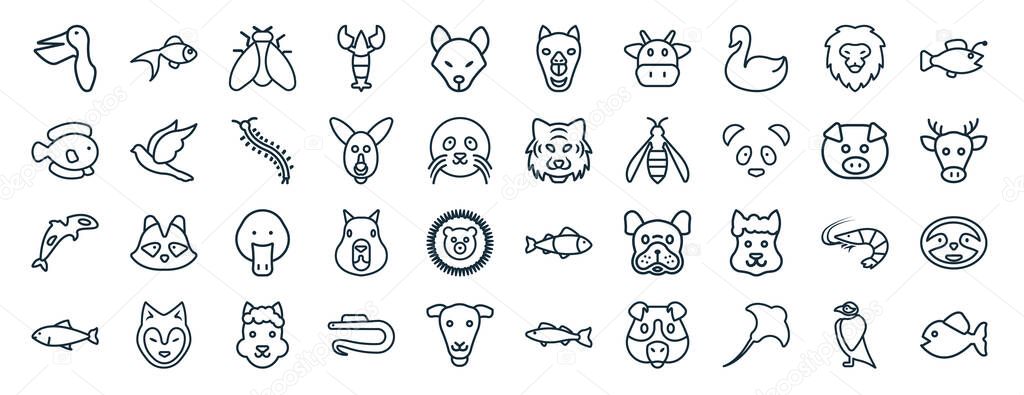set of 40 flat animals web icons in line style such as gold fish, flounder, grampus, salmon, pig, angler, camel icons for report, presentation, diagram, web design