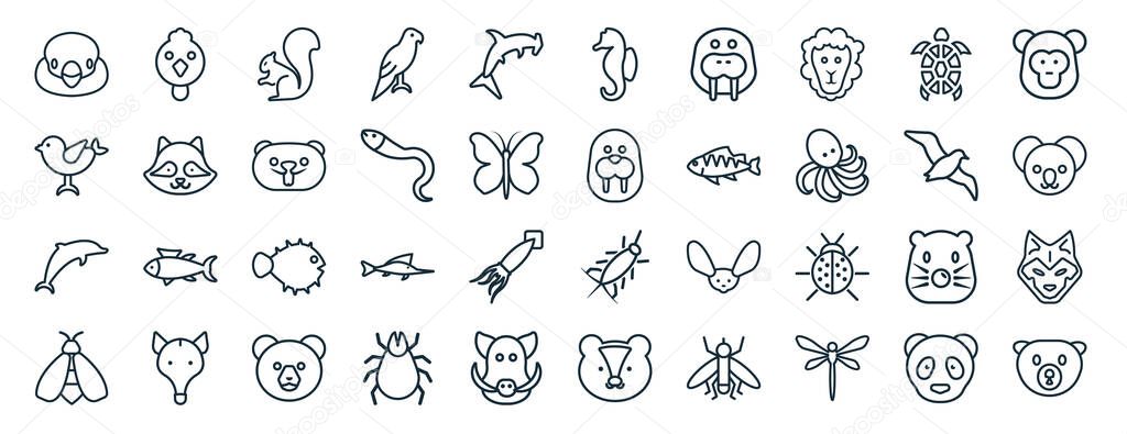 set of 40 flat animals web icons in line style such as cock, sparrow, dolphin jumping, bee, albotros, baboon, seahorse icons for report, presentation, diagram, web design