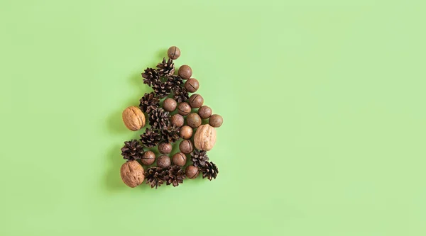 Christmas or New Year natural composition of nuts and cones on green background. — Stock Photo, Image