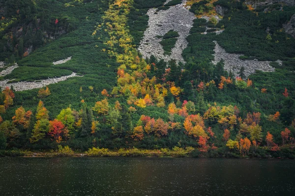 高タトラ 観光やハイキングの写真で湖で秋 カラフルな風景 スペースの編集 — ストック写真
