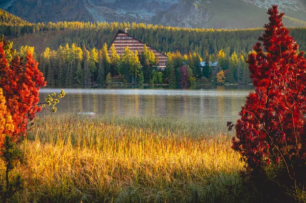 Lago Montaña Strbske Pleso Parque Nacional High Tatra Eslovaquia Europa —  Fotos de Stock