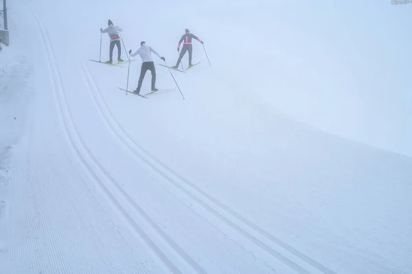 Biała Linia Jazdy Nartach Nordyckich Zdjęcie Sportów Zimowych — Zdjęcie stockowe