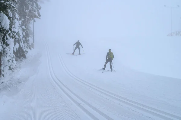 Nordic Ski Athlete Snowy Track Beautiful Nature Sport Active Photo — Stock Photo, Image