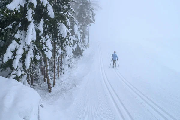 Senior Nordic Ski Athlete Active Life Winter Seniors — Stock Photo, Image