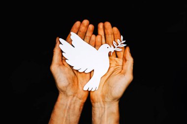 Siyah arka planda kağıt güvercin olan erkek eller. Ukrayna 'da hız, Avrupa' da Rusya ile Ukrayna arasındaki ihtilafın sona ermesinin sembolü