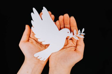 Siyah arka planda kağıt güvercin olan kadın eller. Ukrayna 'da hız, Avrupa' da Rusya ile Ukrayna arasındaki ihtilafın sona ermesinin sembolü