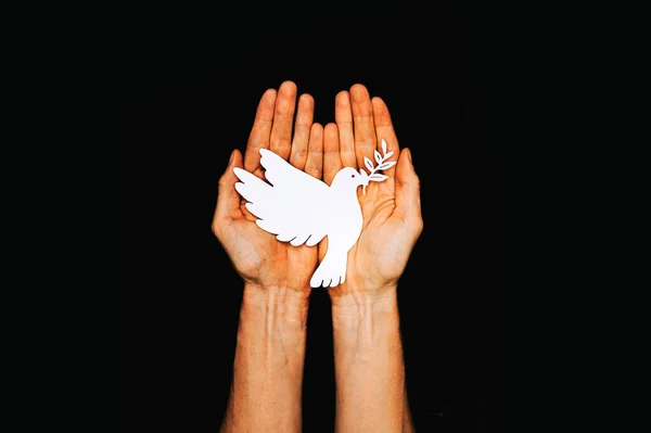 Siyah Arka Planda Kağıt Güvercin Olan Erkek Eller Ukrayna Hız — Stok fotoğraf