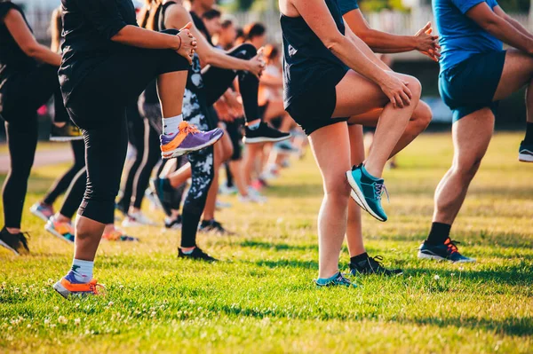 Group running warm up, Legs on beautiful green grass in warm light. Team training, stretching and core exercise