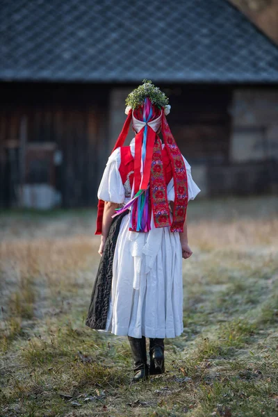 Kobieta Ubrana Tradycyjny Strój Ludowy Słowacki Kostium Jesiennej Natury Stary — Zdjęcie stockowe