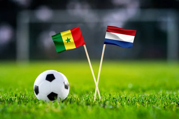 セネガルVsオランダ アルトゥママ サッカー試合壁紙 手作りの国旗と緑の芝生の上でサッカーボール 背景にサッカースタジアム ブラック編集スペース — ストック写真