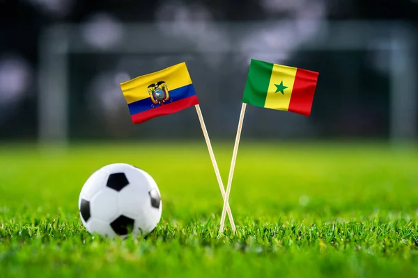 Ekwador Senegal Khalifa Stadium Piłka Nożna Mecz Tapety Handmade Flagi — Zdjęcie stockowe