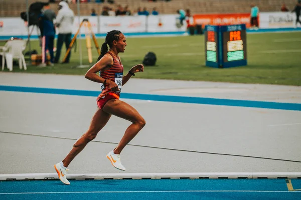 Samorin Slovakia July Gudaf Tsegay Long Distance Female Runner Ethiopia — Stockfoto