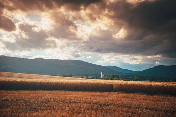 Wheat Field Warm Summer Setting Sun Rural Landscape Beautiful Nature — Fotografia de Stock