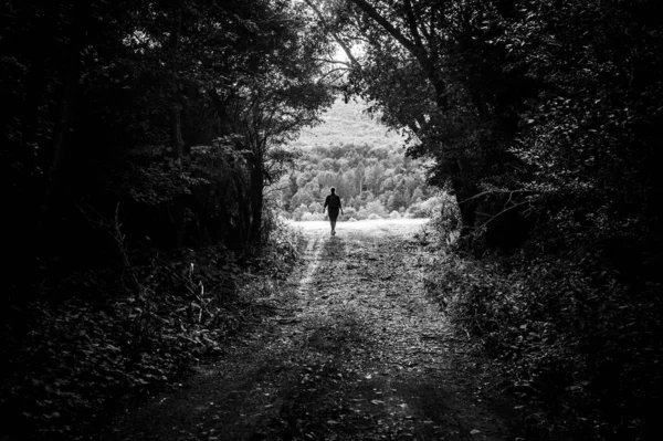 Black White Photo Female Tourist Walks Green Summer Forest Trip — Stockfoto