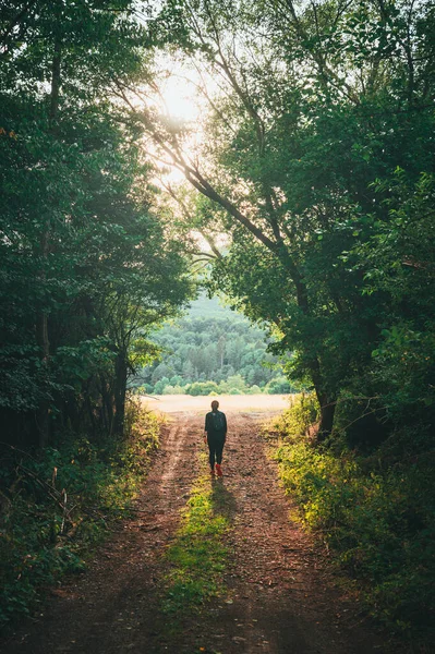 Turista Feminino Caminhando Paisagem Verão Uma Viagem Uma Floresta Verão — Fotografia de Stock