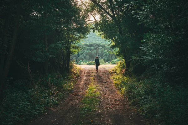 Turista Feminino Caminhando Paisagem Verão Uma Viagem Uma Floresta Verão — Fotografia de Stock