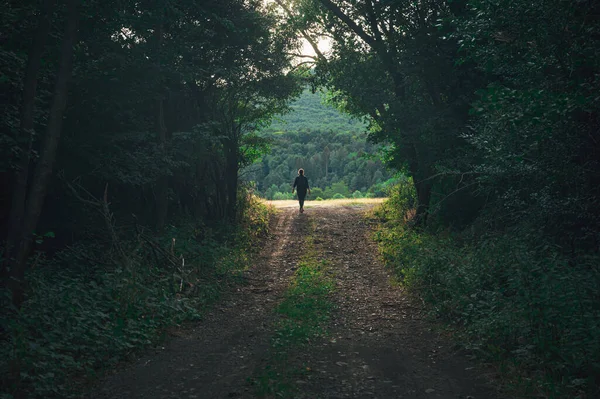Kobieta Turysta Spaceruje Przez Zielony Letni Las Podczas Podróży Przyrodzie — Zdjęcie stockowe